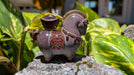 Year of the Horse Color Changing Gong Fu Tea Mascot | Yunnan Sourcing Tea Shop