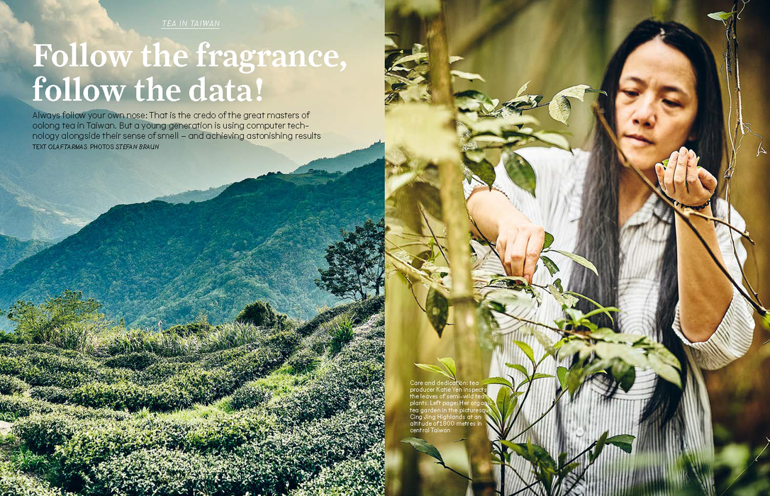 t-Magazine for Tea Culture - International Edition #1 (Blue Cover)