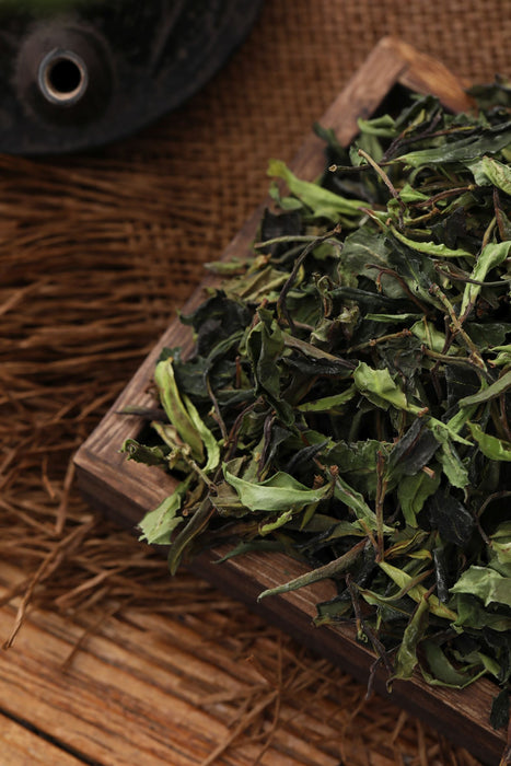 Purple Varietal "Yue Guang Bai" White Tea of Dehong