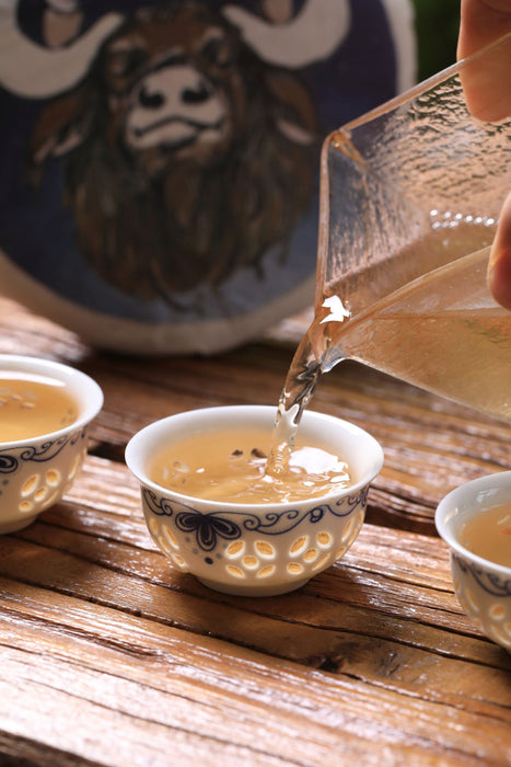 2021 Yunnan Sourcing "Meng Zhu Da Shan" Old Arbor Raw Pu-erh Tea Cake