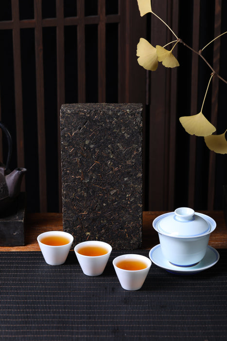 2018 Mojun Fu Cha "Guo Zhi Fu Li" Fu Brick Tea