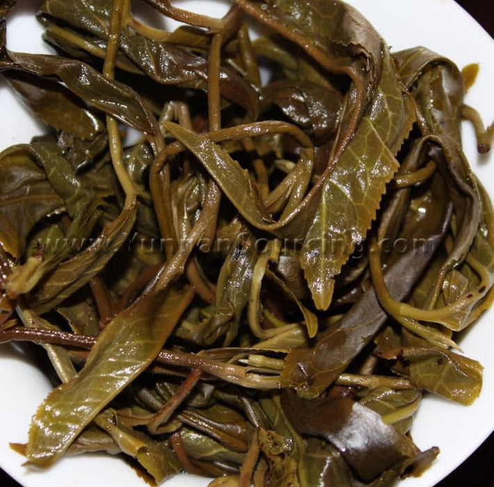 2010 Yunnan Sourcing "Ding Jia Zhai" Autumn Harvest Yi Wu Pu-erh Tea Cake - Yunnan Sourcing Tea Shop