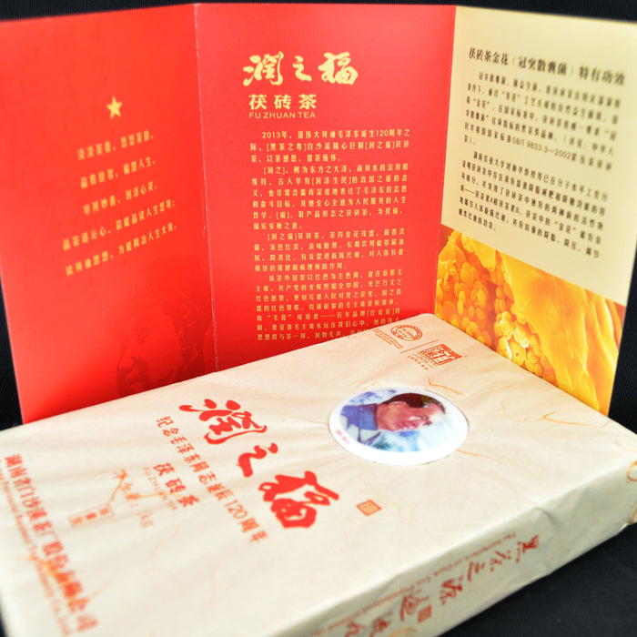 2013 Bai Sha Xi "Run Zhi Fu" Fu Zhuan Tea from Hunan