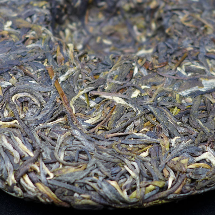 2014 Yunnan Sourcing "Autumn Mang Zhi" Ancient Arbor Raw Pu-erh Tea Cake