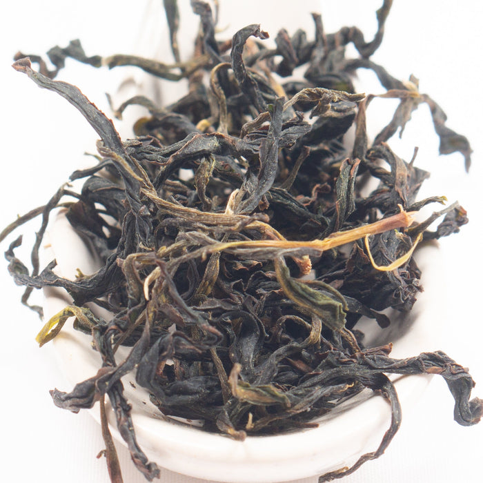 Lalashan Organic Qing Xin "Koke Jade" Oolong Tea - Spring 2022