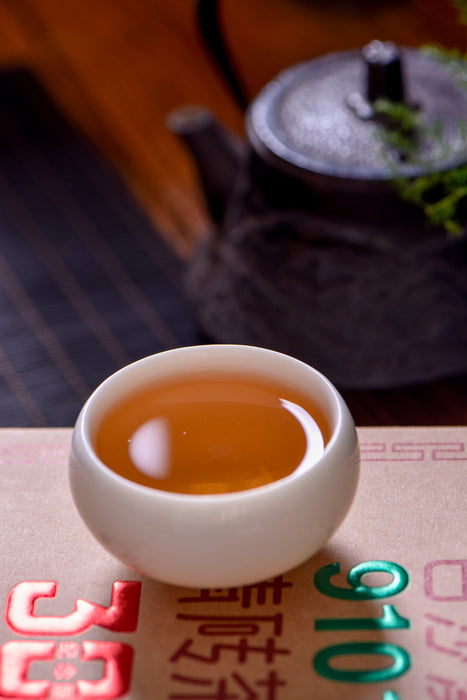 2021 Bai Sha Xi "9101" Qing Zhuan Hunan Brick Tea