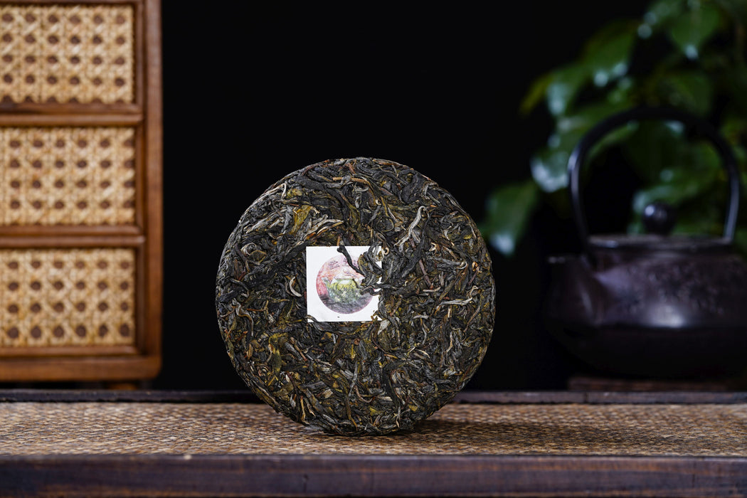 2023 Yunnan Sourcing "Forest Tea" Raw Pu-erh Tea Cake