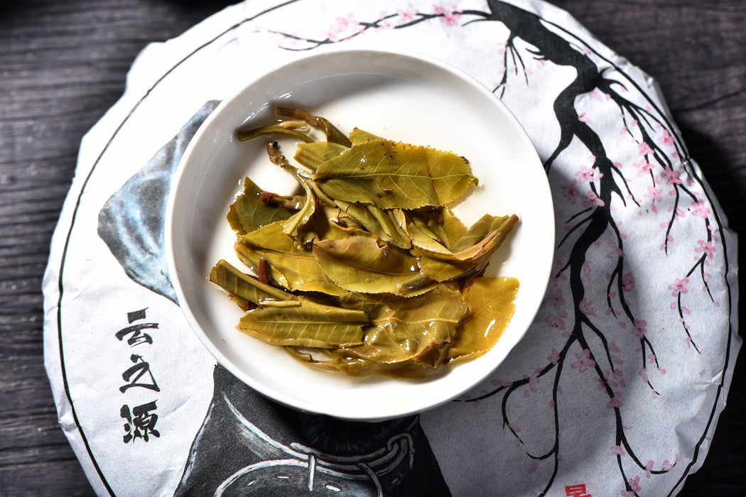 2018 Yunnan Sourcing "Jing Mai Mountain" Raw Pu-erh Tea Cake