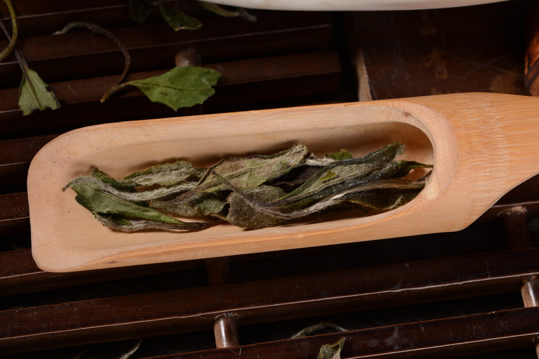 White Tea Organic White Peony 100g (50 Cups) | Bai Mu Dan Chinese White Tea | Pai Mu Tan Loose Leaf Tea REPLANTEA White Tea Organic White Peony 100g (50 Cups) | Bai Mu Dan Chinese White Tea | Pai Mu Tan Loose Leaf Tea REPLANTEA