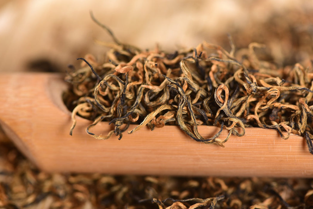 Simao "Spring Tips" Pure Bud Black Tea of Yunnan