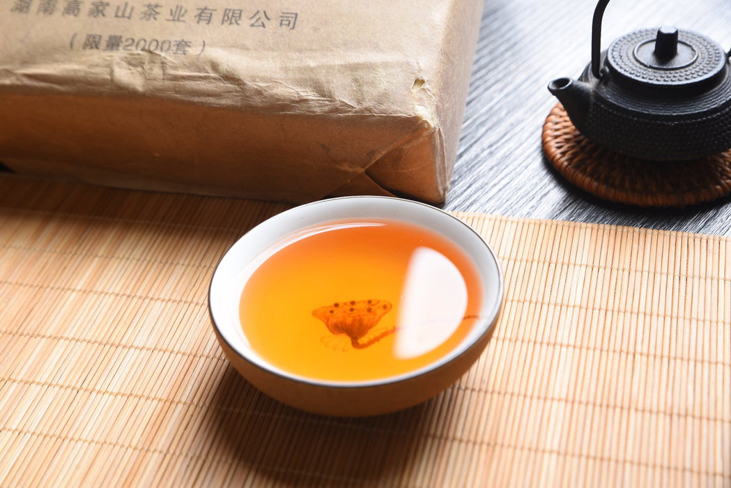 2015 Gao Jia Shan "Cha Duo Tang" Wild Harvested Hunan Fu Brick Tea