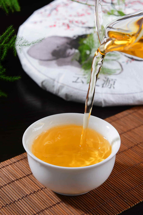 2020 Yunnan Sourcing "Yao Yun" Yi Wu Raw Pu-erh Tea Cake