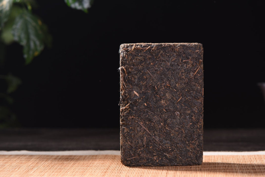 2009 Gao Jia Shan "Wild Fu Zhuan" Hunan Brick Tea