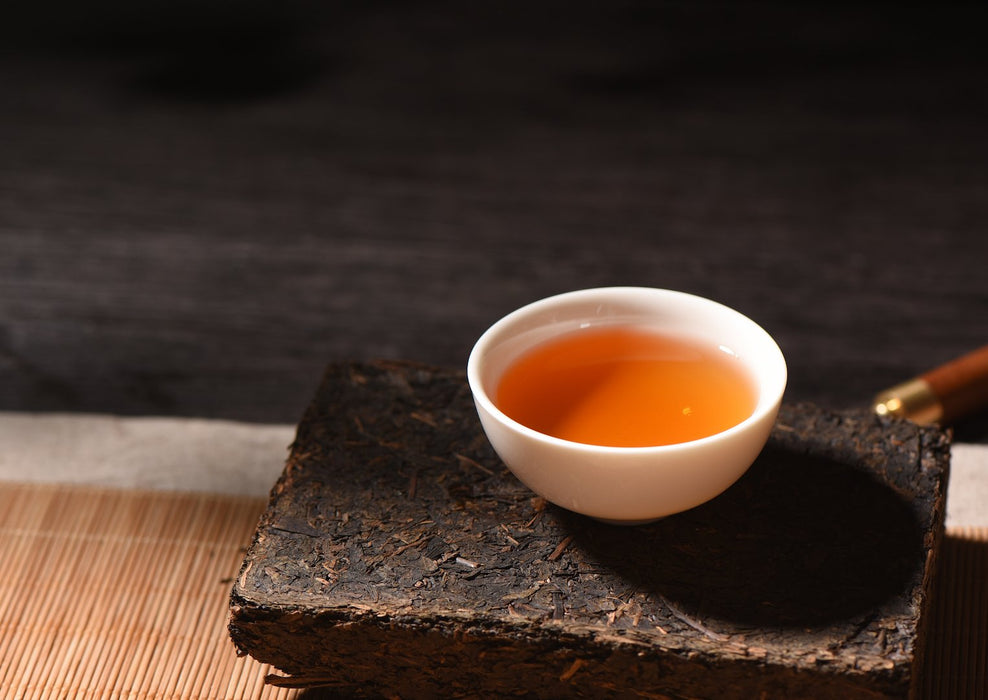 2009 Gao Jia Shan "Wild Fu Zhuan" Hunan Brick Tea