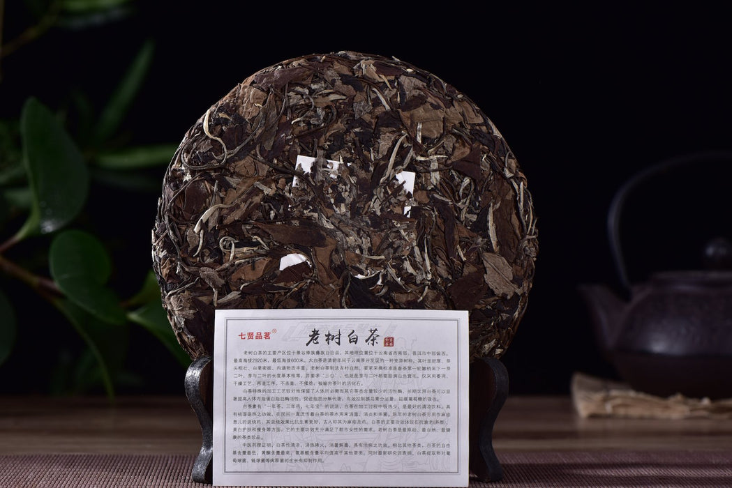 Menghai "Lao Shu Bai Cha" White Tea Cake * Spring 2015 - Yunnan Sourcing Tea Shop