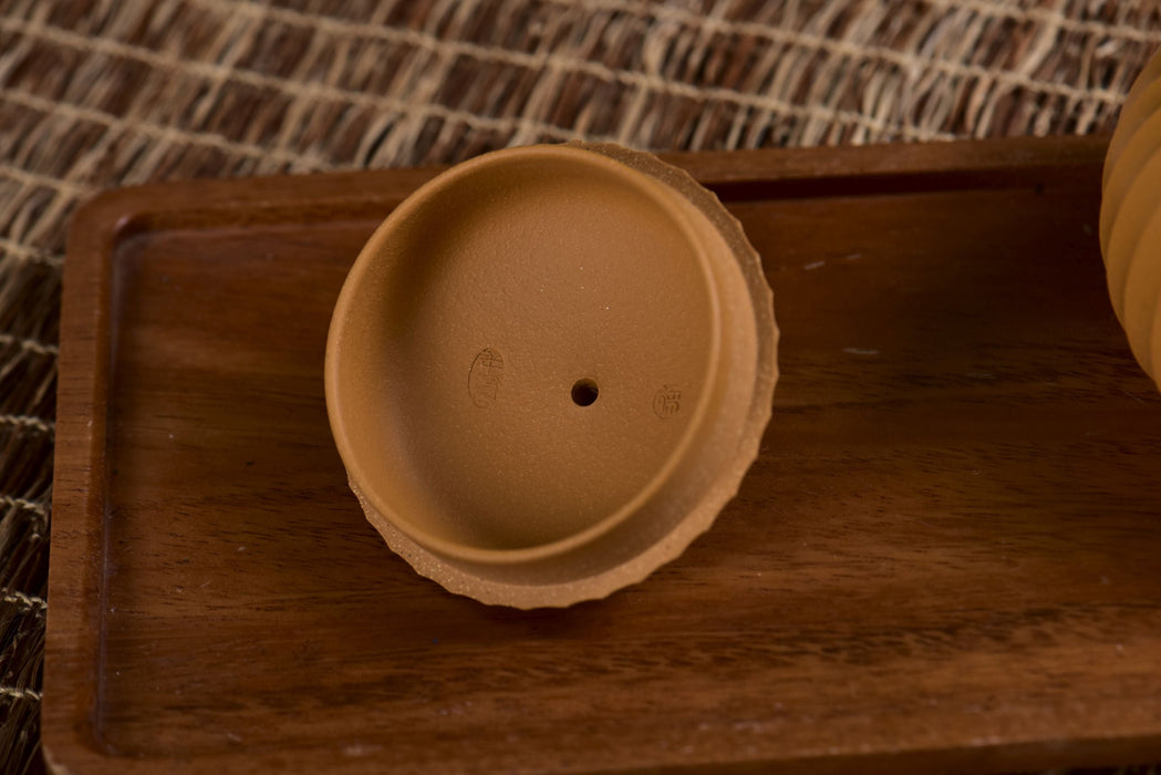 Golden Duan Ni Clay "Xi Shi" Teapot by Xu Nianfeng
