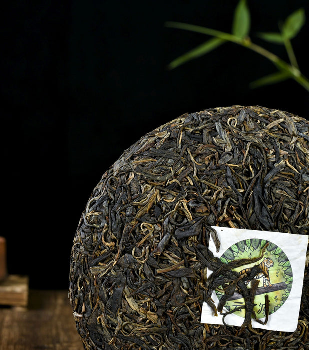2022 Yunnan Sourcing  "King of the Jungle" Raw Pu-erh Tea Cake
