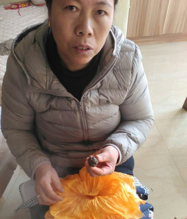 Yue Guang Bai "Moonlight White" White Tea Dragon Ball