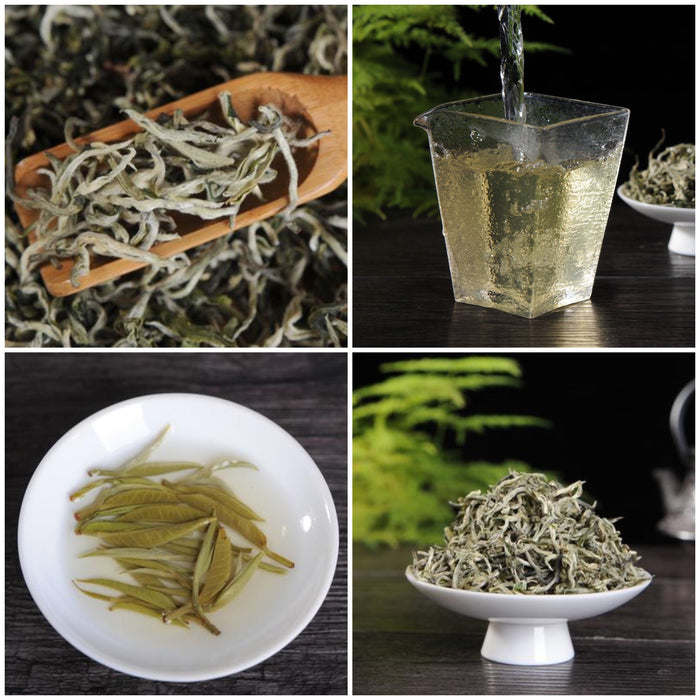 Yunnan "First Flush" Green Tea Sampler